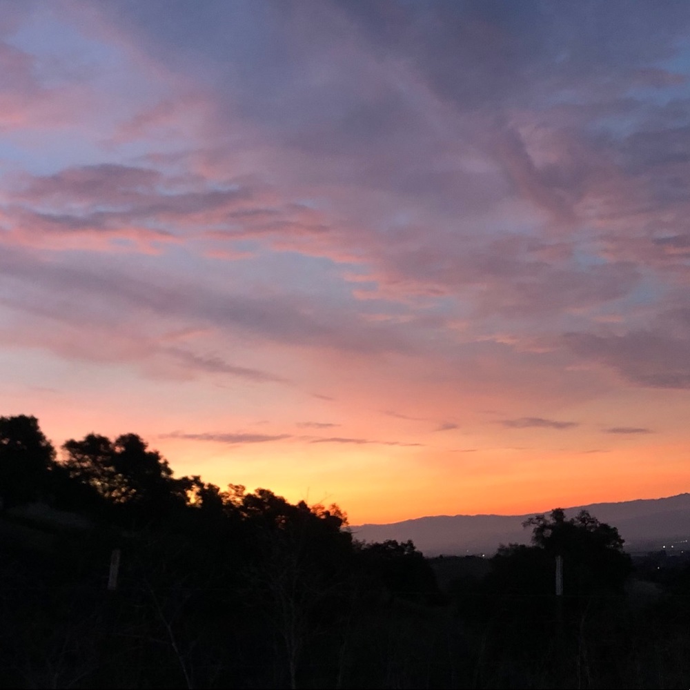 Meet your Posher, Devin